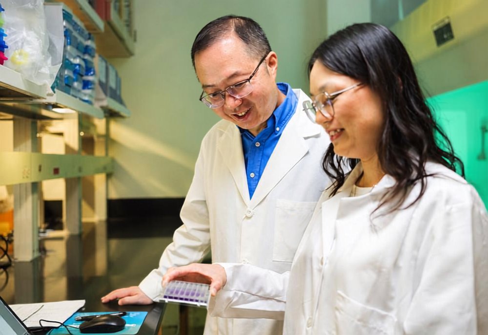 USFHealth's tweet photo. How does the brain help your body respond when you’re cold? 

A new USF Health study identifies the first known function of a little-studied brain region that helps coordinate appetite, heat production and energy use.

The findings offer a new direction for studying metabolic health. 

Read more: https://t.co/S6Y5JxD2yx