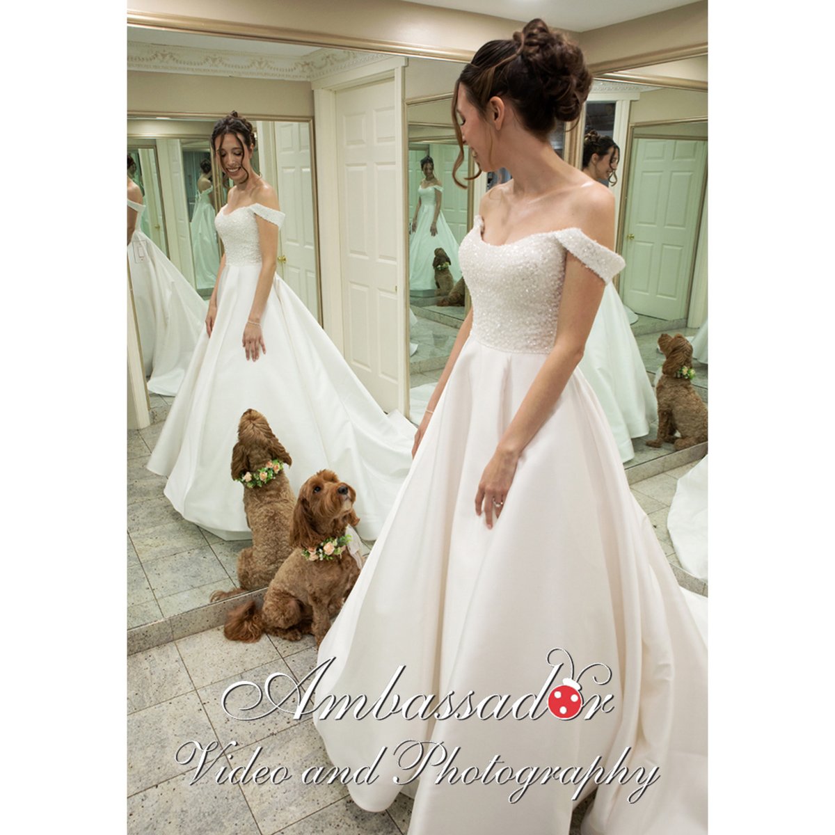 VideoAndPhoto's tweet photo. A little extra love, a few happy kisses, and a memory that will last fur-ever! 💍🤍 Because family comes with four paws, too. 🐾
Ambassador Video and Photography
https://t.co/ILvKdXsXU8

#BergenCountyWeddingPhotography #BrideAndHerDog #WeddingDayMemories #NJWeddingPhotographer https://t.co/4e39FuxDjB
