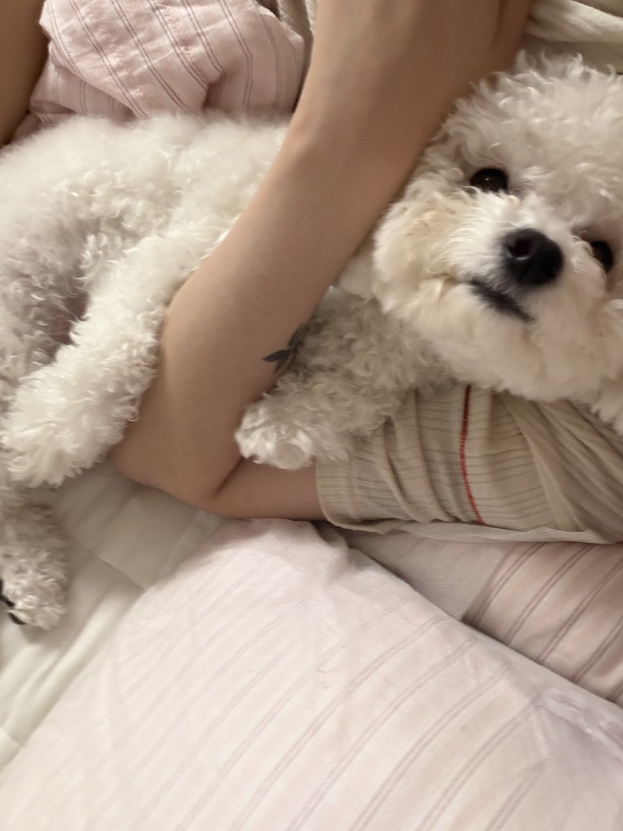 Queencha222's tweet photo. 채이 왜 안와.. 소땅이들 보며 마음 정화 https://t.co/MmMW9HpFZW