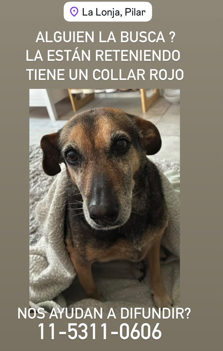 patripeyrou's tweet photo. Difundimos https://t.co/wJHY7Fi67k