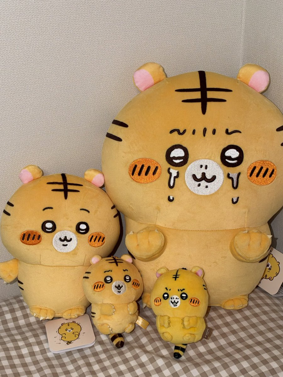 mozzi1ife's tweet photo. 집에 호랑이 이만큼 있음 .. 🐯🌀
나 나가노 호랑이들 너무 좋아해서 내돈내산으로 친구들 선물해 준 거 아는 사람 https://t.co/VLymnX7p2c