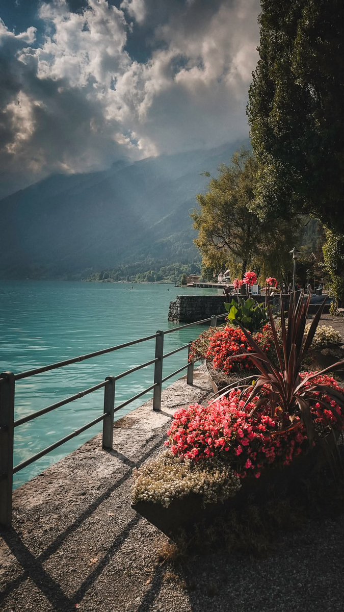 earthserenityy's tweet photo. Switzerland https://t.co/syUmqrWe9f
