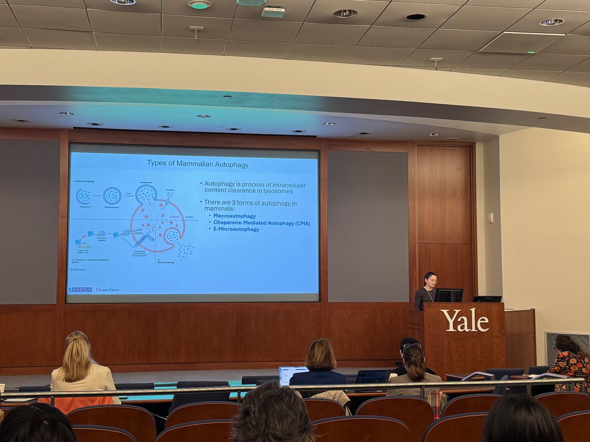 AMCuervoLab's tweet photo. Great science at the Glenn Symposium of Aging at @YaleWestCampus last Friday. Two great talks by Floralba and Kiya. https://t.co/VhoGHApLDM
