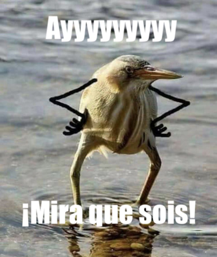 quintanapaz's tweet photo. Tras promover décadas la inmigración masiva en Francia, sus obispos ahora solo tienen esto que decir: “Uy, qué malotes son algunos al manifestarse. Venga, sed buenines y no arraséis con todo”.

Este es un motivo, por cierto, por el que no merece atención en asuntos políticos el alto clero católico (y por eso soy neogibelino): su carencia absoluta de responsabilidad. Hablan pero no se sienten responsables por los efectos de lo que hablan. Algo propio de adolescentes, no de adultos.