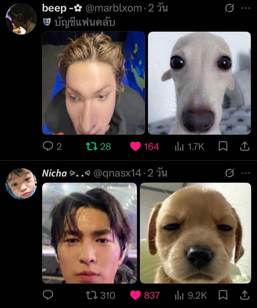 qnasx14's tweet photo. ครืออ556555555456 แม่มานขี้เเกล้งมาก https://t.co/xM7bU2l8NN