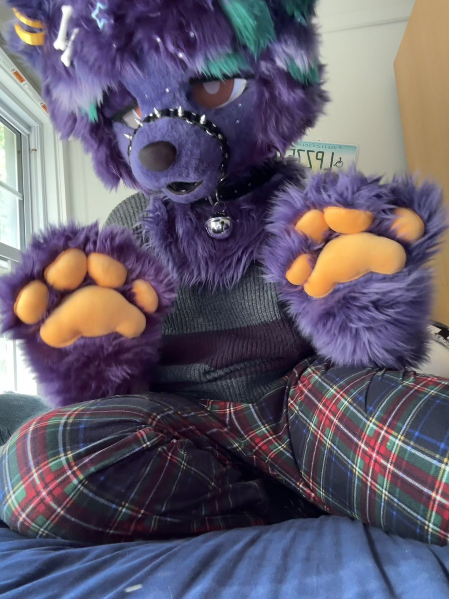 redditpawjob's tweet photo. hello 🐾 https://t.co/pNS05cOcFo