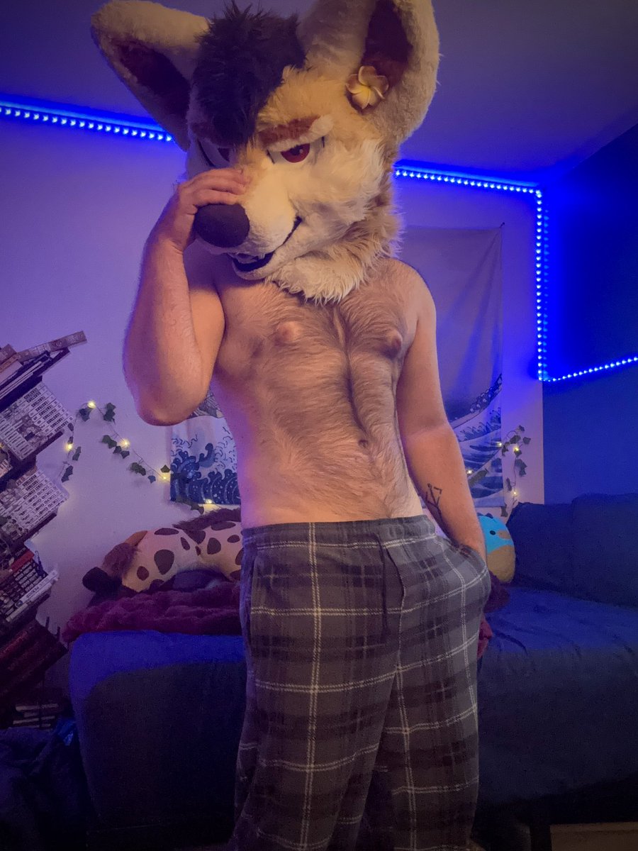 Kai_Wooof's tweet photo. Bark Arf!

(Good morning in doggenese) https://t.co/t15ray5TnB