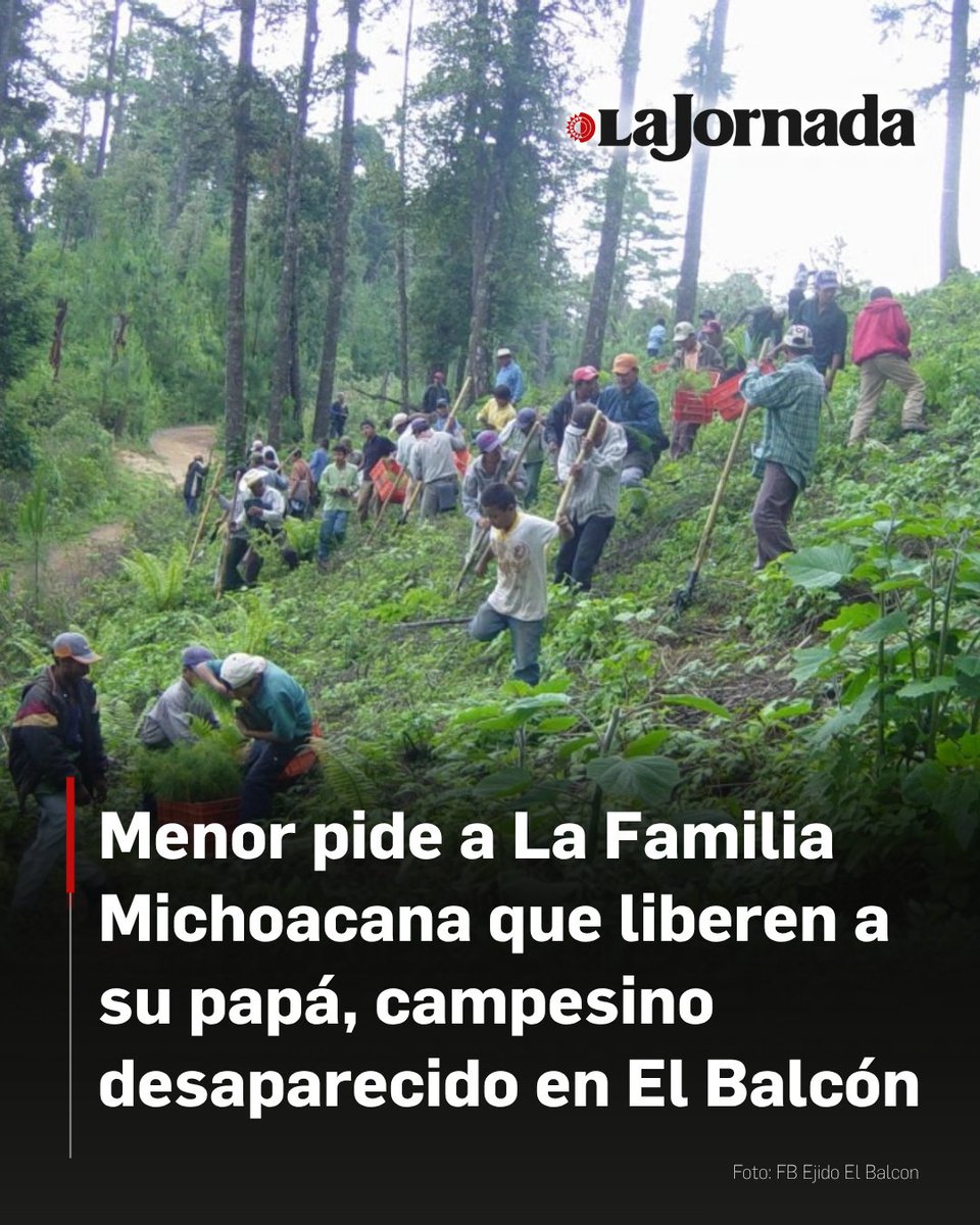 lajornadaonline's tweet photo. El hijo de Domingo Atanacio Quirino, campesino desaparecido en el municipio de Ajuchitlán del Progreso, difundió un mensaje en redes sociales para solicitar la liberación con vida de su padre, quien permanece privado de la libertad tras los hechos ocurridos en la comunidad de El Balcón.

En la grabación, el menor de edad explicó que su progenitor padece problemas de salud y enfatizó que se dedica exclusivamente a las labores del campo, siendo el único integrante del grupo de pobladores retenidos que aún no ha regresado con su familia.

Más información en: https://t.co/dRdDBmoo1K