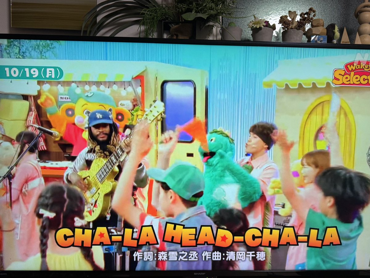 HasegagagaKou's tweet photo. サンダーキャットがNHKのEテレに登場。庵野監督作品への愛や、カウボーイビバップのサントラの良さを語る。そしてドラゴンボールZの「チャラ・ヘッチャラ」のファンクバージョンを披露。　#Thundercat https://t.co/qhN9iFa1RI