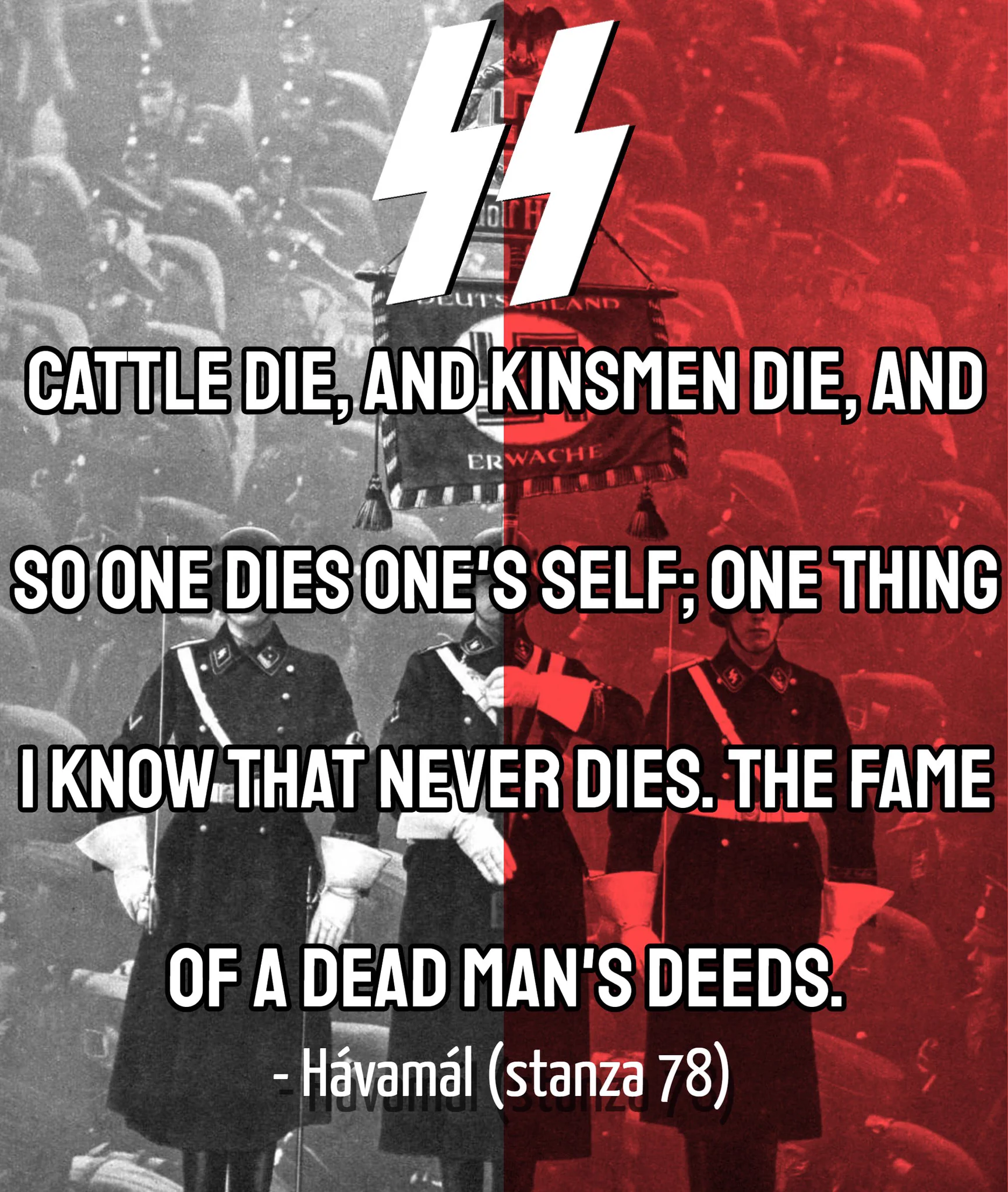 Heinrich The Hedgehog on X: 