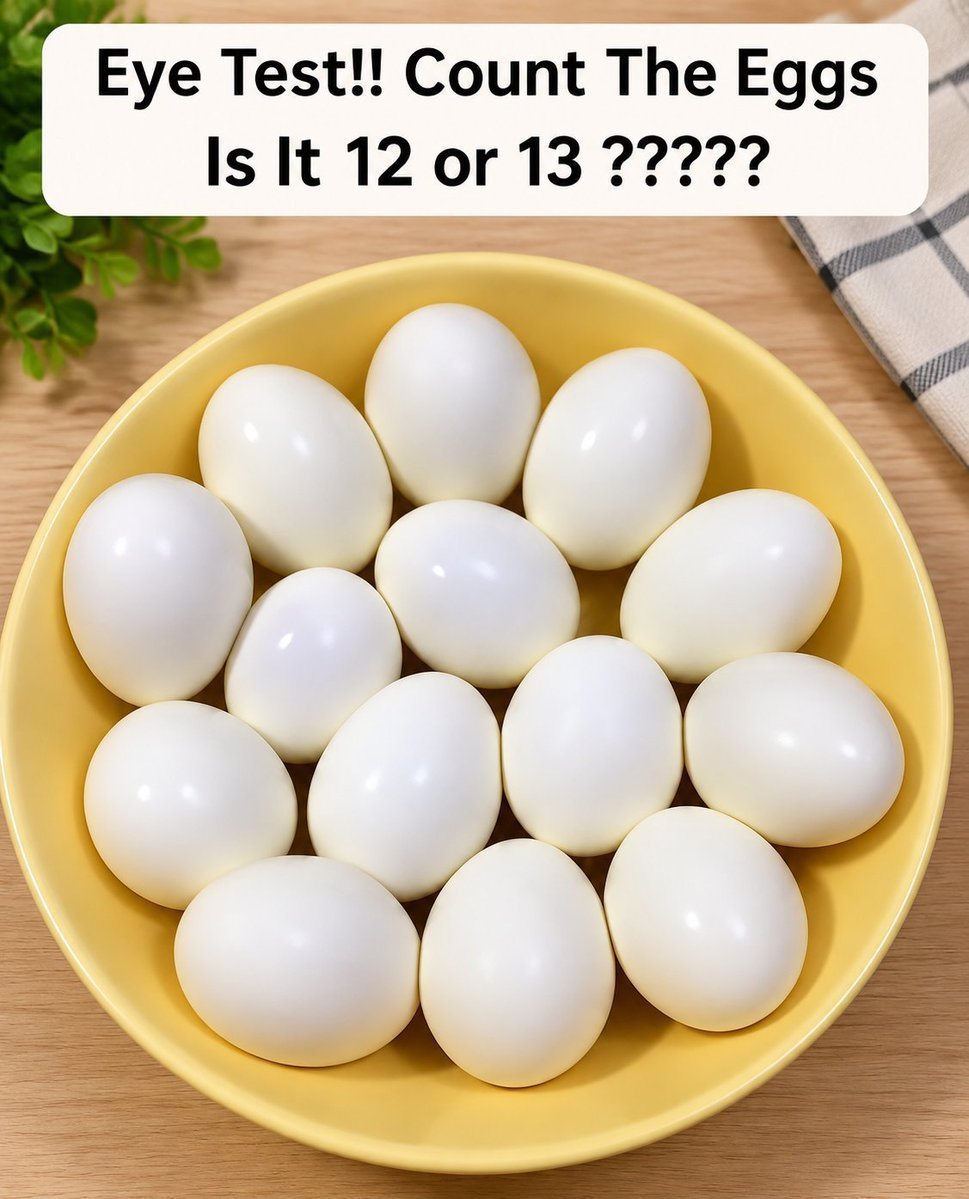 thinky9n's tweet photo. Count the eggs is it 12 or 13

Look carefully https://t.co/U33nabdpKY