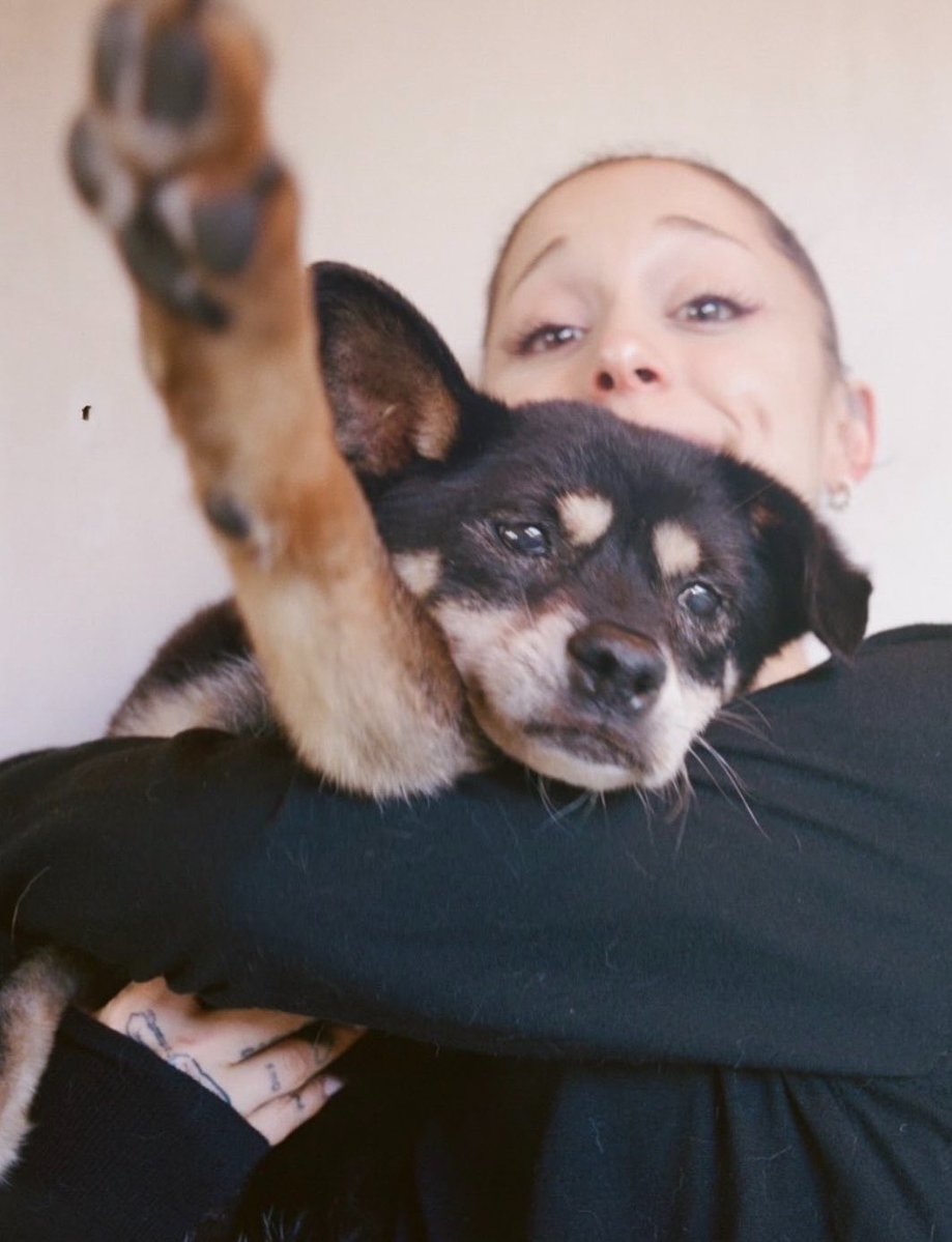rosesnrem's tweet photo. rest in peace coco, such a beautiful angel 🤍🕊️ https://t.co/2i4V0vlZ6p