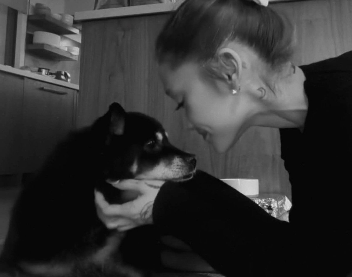 arianagrandebr's tweet photo. Coco, cadelinha de Ariana Grande, faleceu aos 17 anos de idade. 💔

A equipe AGBR deseja todos os pêsames para a cantora. https://t.co/iWh67mqTjH