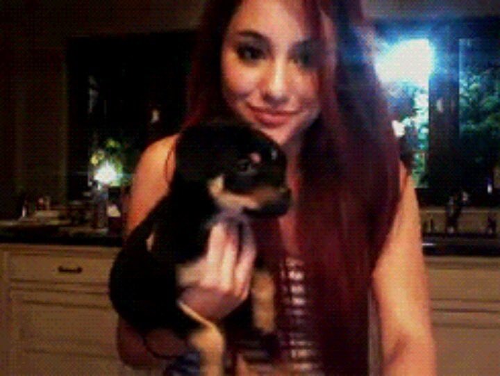 AGrandeLDN's tweet photo. coco is literally ariana’s OG fur baby like don’t do this to me. https://t.co/cXGtsJpiGF