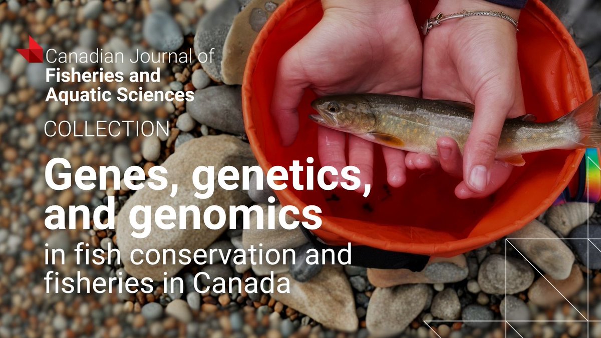 cdnsciencepub's tweet photo. How are genetic and genomic technologies shaping #FishConservation and #FisheriesResearch in Canada? Read this collection highlighting new applications 📚🐟 https://t.co/XqBavNAwI9

@iBioUWindsor @FishOceansCAN @GLIERUWINDSOR @iBioUWindsor @Concordia 📸 Analisa Lazaro-Côté https://t.co/uqlg24ghwy