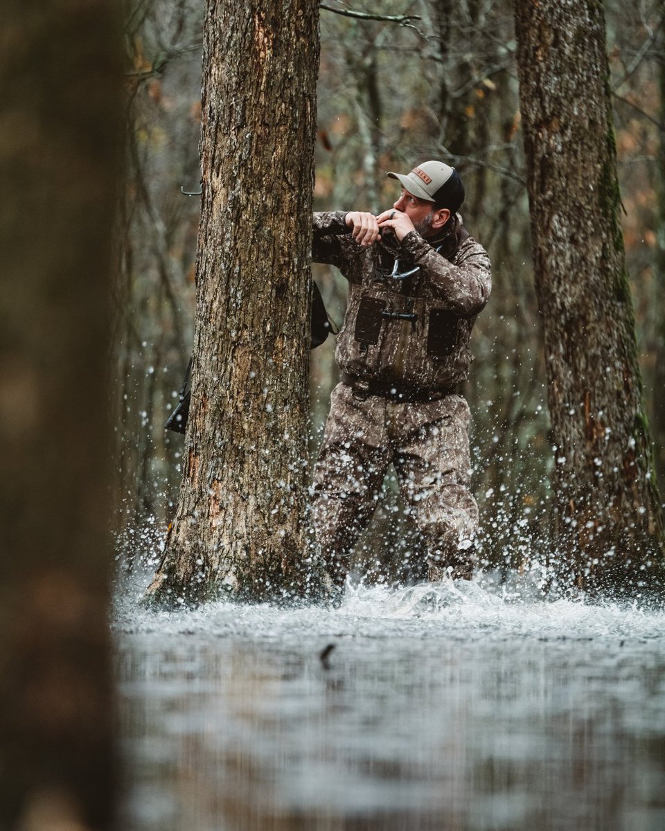 firstlitehunt's tweet photo. Flooded timber, good buddies, Labradors, and greenheads cupped up over the decoys. 

Hard to beat. https://t.co/XyYp9bbB2z