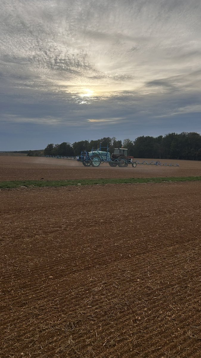 OlivierCOSTE2's tweet photo. Si je regarde par chez toi @BONNIN1402,le ciel se couvre par le sud.
Maintenant que l’#Orge est en terre et que la pluie est annoncée pour cette nuit,sur le département de l’#Yonne.
L’#Agriculture espère être tranquille,avec les fouillis causés par des #sangliers 🐗. https://t.co/kXx30qYgWh
