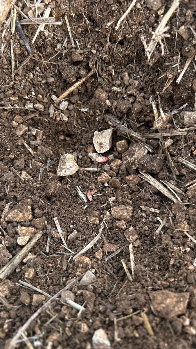 OlivierCOSTE2's tweet photo. Si je regarde par chez toi @BONNIN1402,le ciel se couvre par le sud.
Maintenant que l’#Orge est en terre et que la pluie est annoncée pour cette nuit,sur le département de l’#Yonne.
L’#Agriculture espère être tranquille,avec les fouillis causés par des #sangliers 🐗. https://t.co/kXx30qYgWh