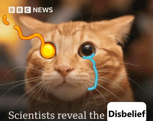 flamesatgames's tweet photo. Scientists reveal the Disbelief https://t.co/oaIha4KvIc