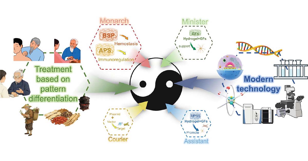 JournalBio's tweet photo. This review highlights TCM polysaccharide hydrogels that promote healing through angiogenesis, ROS scavenging, and immune regulation. #Bioengineering #Hydrogels #WoundHealing @sysu_1924  @UM_1981 

#BIOI #OpenAccess: https://t.co/2CqCKjZFNK https://t.co/jplDGajTeE