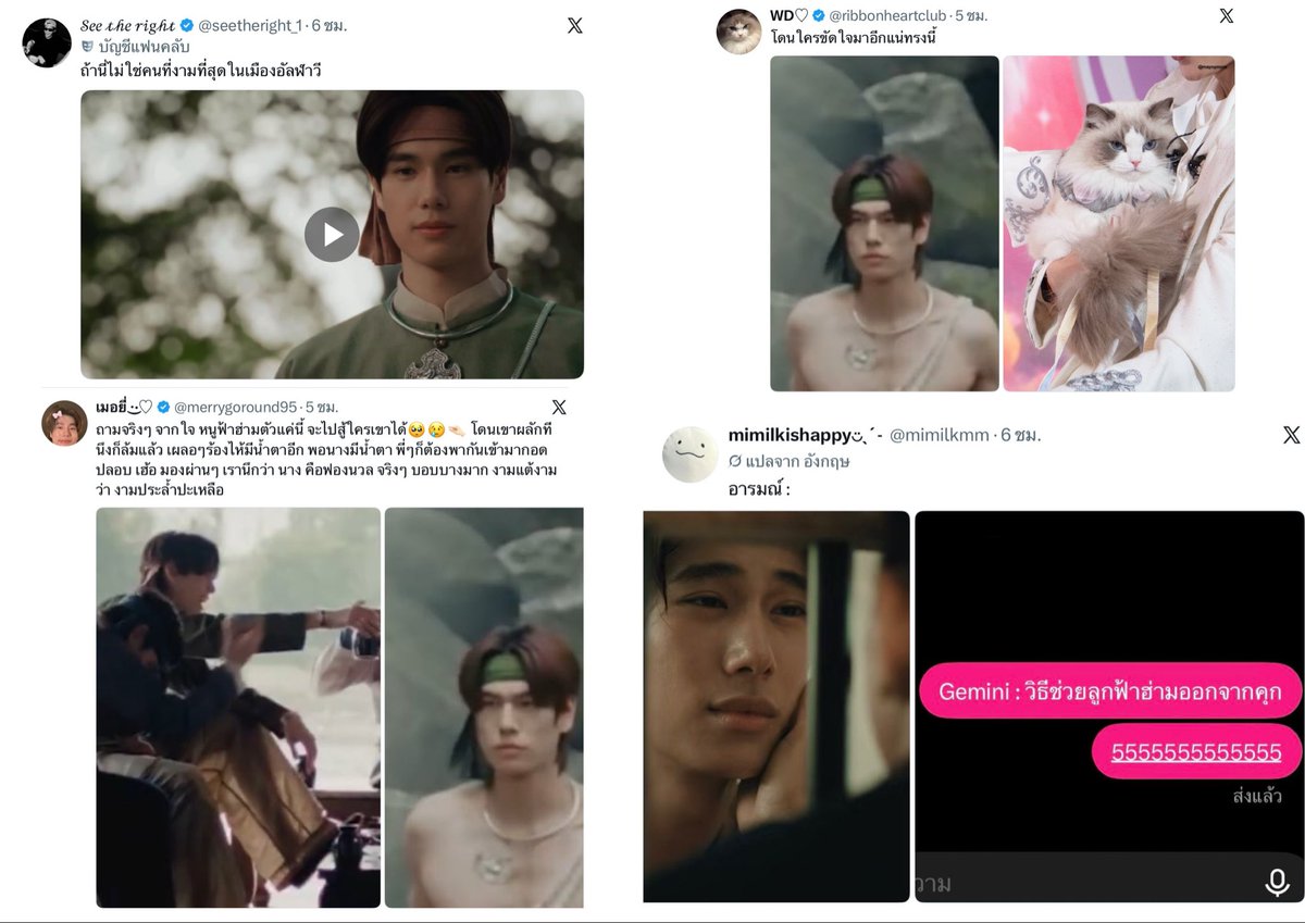 mootoonjung's tweet photo. กรงแมวพอทน ในคุกมีนมผงให้กินไหมพอเลย555555555555555555555555555555555555555555555555555555555555555555555555555555555555555555 https://t.co/jP7uFr27IP