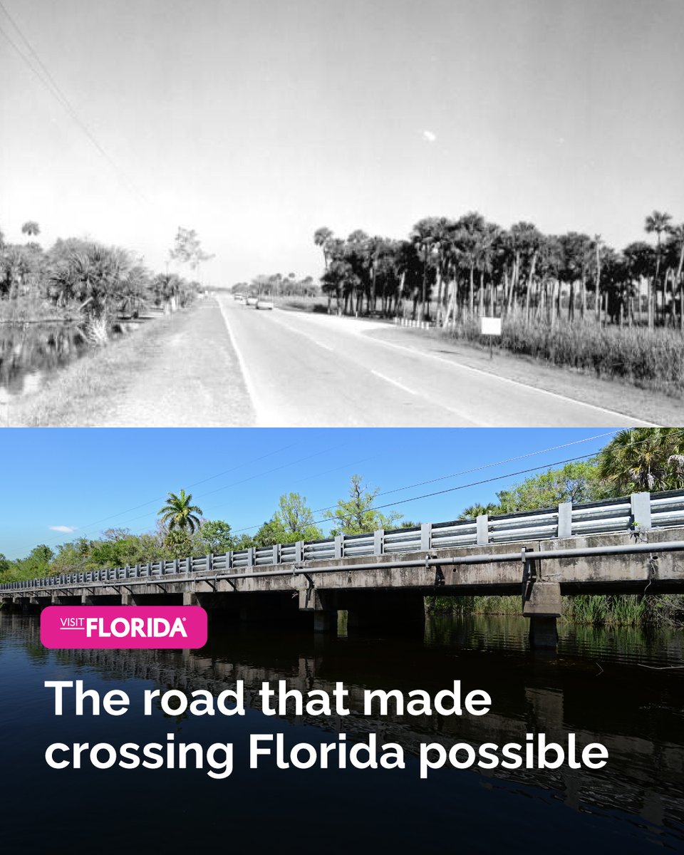 VISITFLORIDA tweet picture