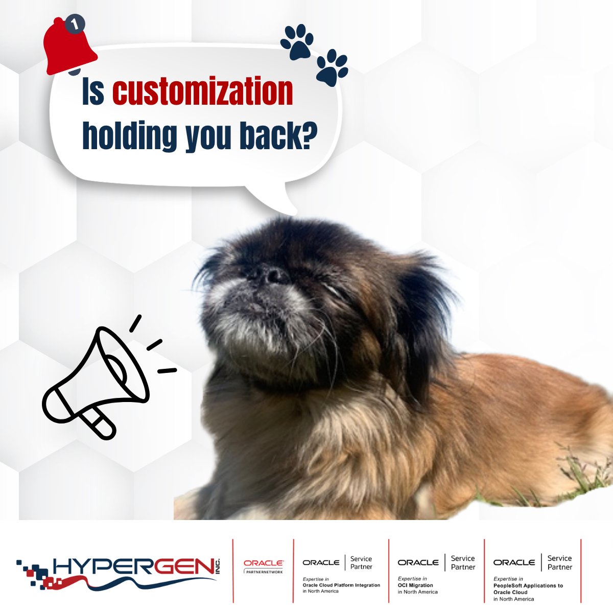 HypergenInc's tweet photo. A PeopleSoft customization that made sense ten years ago may be solving a problem the platform now handles differently.

Retiring unneeded customizations makes updates easier.

HyperGen can help you find what still earns its keep.

#PeopleSoft #HyperGen #Oracle #OCI https://t.co/aJXXgC3jpR