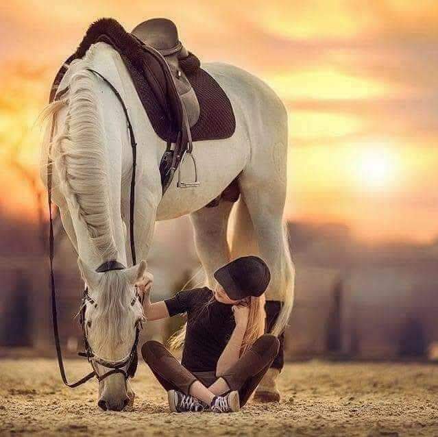 97jman9's tweet photo. ~~

ليس من طبع الحياة تمام الحظوظ، فلا
كمال مطلق ولا نقص مطلق.
 وهنا تبدأ حياتك أو تنتهي؛ فإما
أن تُعظم النعم التي بيمينك
وإما أن تقلب كفيك
على ما حُرمت منه
وليس وراء ذلك إلا حياة تمر بك دون أن
تعيشها،،🕊️
🖤 
🖤 https://t.co/BfEO6z6bfR
