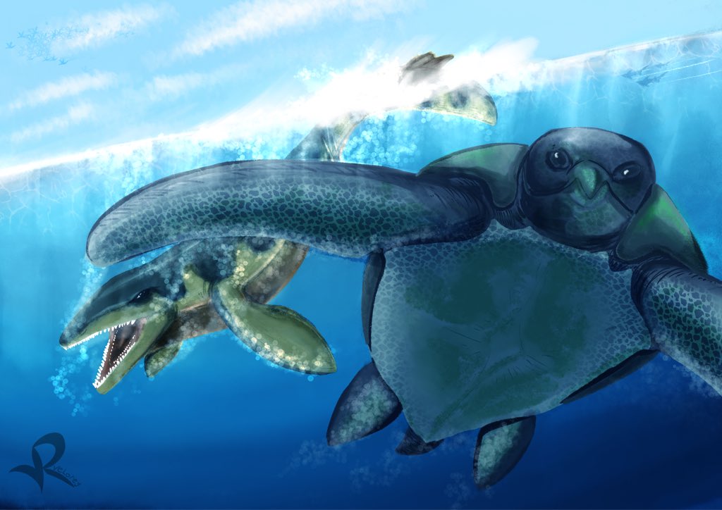 VeloReyYT's tweet photo. @ArtistsOfSEA Prehistoric Animals https://t.co/JNWQmT9qJS