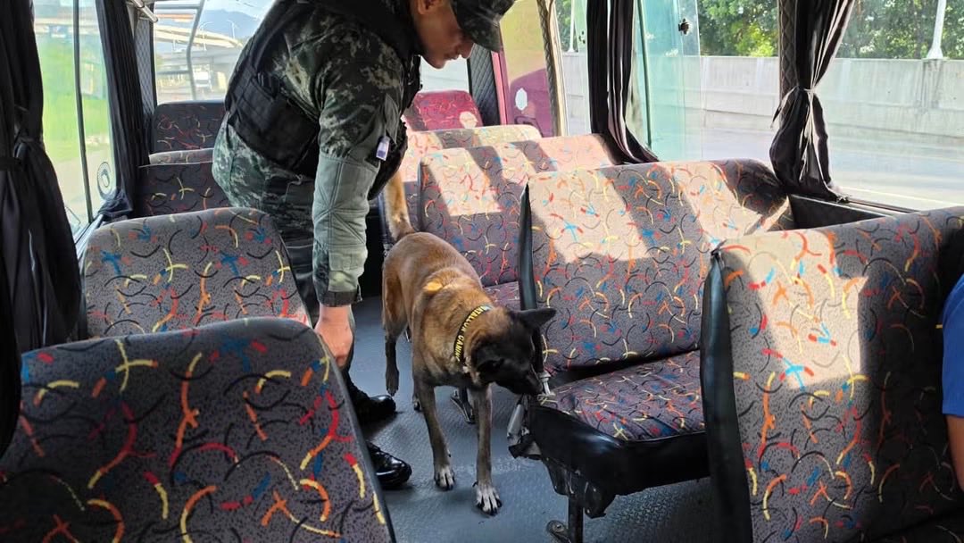PMOPHN's tweet photo. #OperacionesCaninasPMOP | Binomios caninos: aliados estratégicos para la seguridad

Las Fuerzas Armadas de Honduras a través del Primer Batallón Canino de la Policía Militar del Orden Público (#1BCPMOP), desarrollan operaciones especializadas con binomios caninos, fortaleciendo las capacidades de detección de sustancias ilícitas y explosivos, así como las acciones de prevención y seguridad en apoyo a las operaciones institucionales.

Adiestramiento, precisión y disciplina al servicio de Honduras.

#FFAAHN #PMOPHN #K9 #OperaciónEscudoDeHonduras
