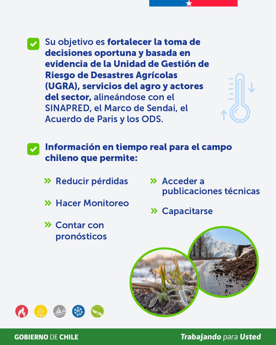 MinagriCL's tweet photo. ⛈️🚜👨‍💻¿Sabías que el @MinagriCL cuenta con un Sistema de Información de Gestión de Riesgo de Desastres para el sector silvoagropecuario?

✔ Una plataforma que reúne información climática, alertas, pronósticos y publicaciones técnicas para apoyar la toma de decisiones, prevenir riesgos y reducir pérdidas.

📲 Conoce sus herramientas y descubre cómo prepararte mejor en https://t.co/tMEpi8D6u6