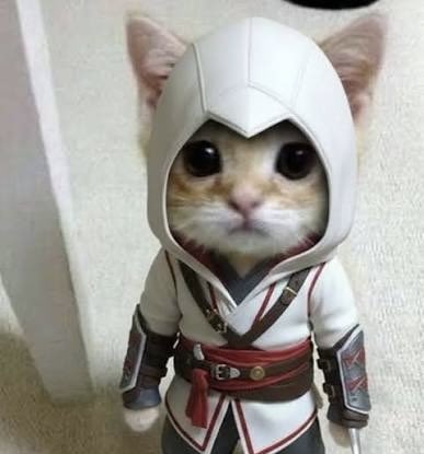 synthetic_kitty's tweet photo. @EzioAudipurre https://t.co/8okAg1rpYf