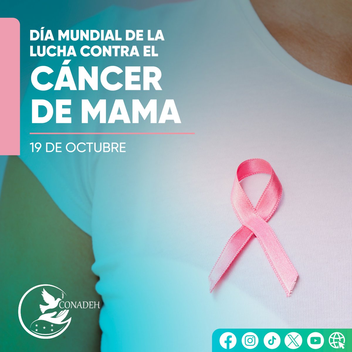 CONADEH's tweet photo. 1/3 En el Día Mundial de la Lucha contra el Cáncer de Mama el #CONADEH recuerda que la salud es un derecho humano fundamental Garantizar el acceso oportuno a la prevención detección temprana diagnóstico y tratamiento es esencial para proteger la vida y la dignidad de las personas https://t.co/s8XfxkaKcT