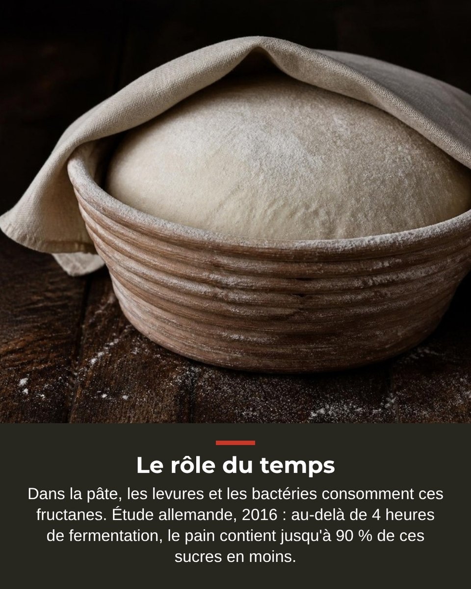 Cuongster's tweet photo. Le rôle du temps, blé ancien ou moderne, ce qu'on ne sait pas encore, et la méthode. https://t.co/A7Ac4quA0L