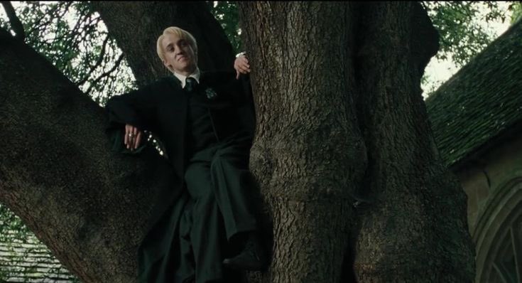 acervomalfoy's tweet photo. ser da sonserina é saber que metade das acusações contra sua casa vem de preconceito e a outra metade vem do draco malfoy KKKKKKK
#sonserina #DracoMalfoy #HarryPotter https://t.co/jFdA8zpQ3U