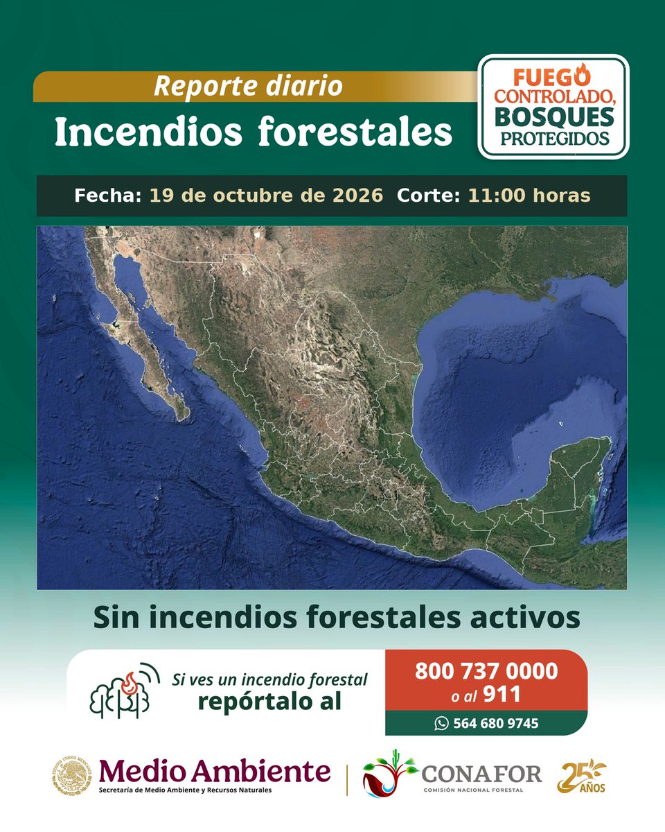 CONAFOR's tweet photo. Al corte de las 11:00 horas, no se reportan incendios forestales activos 🌲✅.

📊 Consulta la tarjeta diaria: https://t.co/slAUqRK5vY https://t.co/Wrv9GHVlAx
