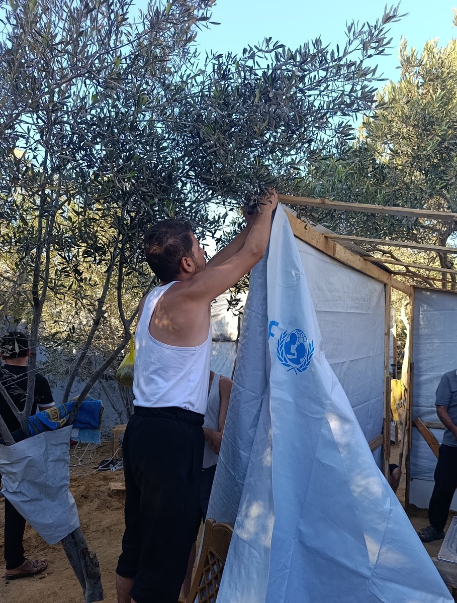 ali__hamdouna's tweet photo. Today I borrowed money from a friend to repair my tent.
Unfortunately, I couldn't complete the work; I needed more money.
Stupidity is something else entirely.

Please, don't stop supporting us. Donate what you can, and share this appeal.🙏💔 https://t.co/mj8VRY8tqC