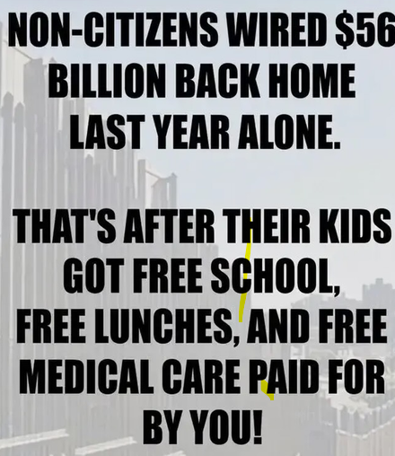 RockyMtMama1's tweet photo. If they can wire that much money back home then they don't need our money to begin with. Deport them all https://t.co/6w9ZXmsXcR