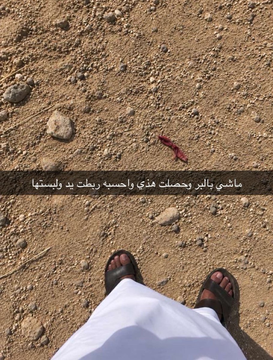 Abusqer_'s tweet photo. أحس البر أكثر مكان يخوّف مو كل شيء تشوفه فيه يعني تقدر تلمسه. https://t.co/2RV0VjM6Ho
