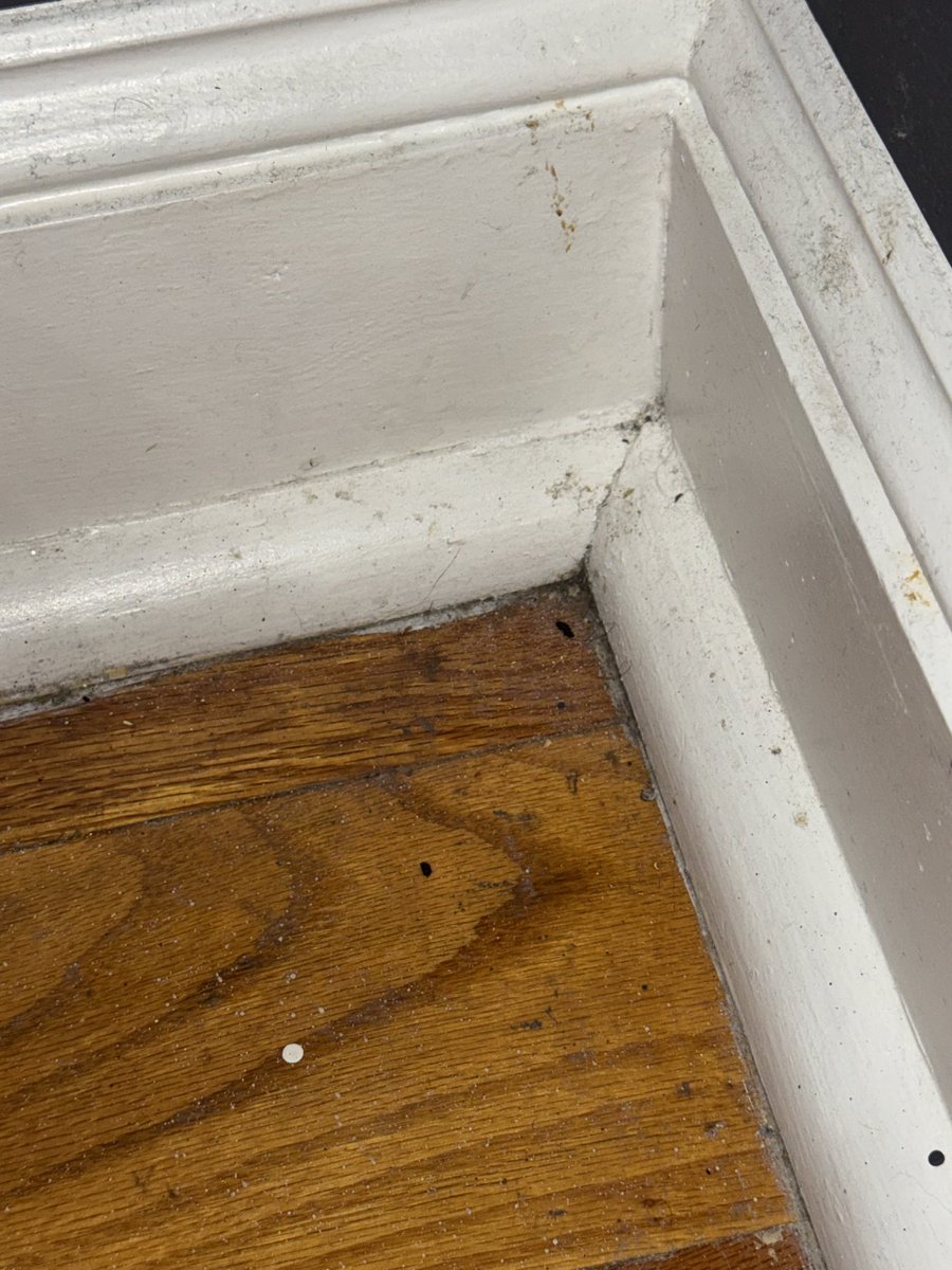 KristaKline's tweet photo. I stayed @ a @vrbo property this wknd - when I got there is was destroyed and mouse poop on the couch and bed. VRBO said all they could do was submit a complaint and they’d get back to me in 72 hours. Wouldn’t find me another place to stay. Did not offer to send a cleaner. Gross. https://t.co/DXZ3yIaV0i