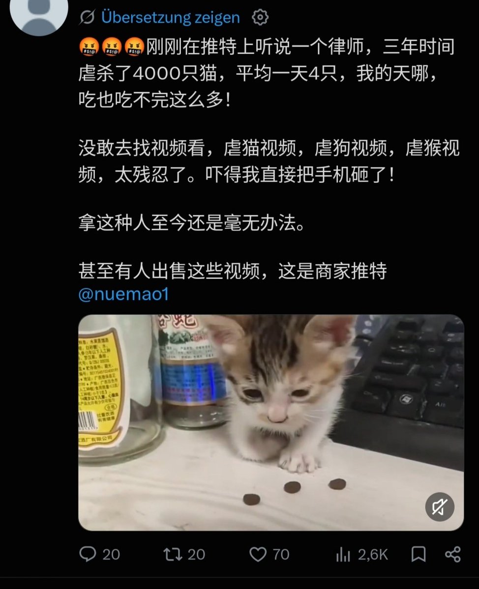 Nimernight38962's tweet photo. ‼️Animal Abuse/Torture Video Seller disguised as an activists‼️

The Problem:
Lately, many new Accounts pop up with similar Texts like the ones in the Images below. 
They claim to saw on different Platforms that a Person or a Group killed cats, dogs and other animals in horrific ways and the Videos are too gruesome. At the end from the Text is a Link to an Account, who is selling these Videos. 
Sometimes, they include a short Video from the Victims and/or Images against animal cruelty. 

‼️These are Accounts the Video seller did himself to gain popularity and to avoid reporting. 
Please DO NOT comment on their Posts‼️

Many activists don't know that these Accounts are abusers disguised as animal activists. In reality, these are ads to sell animal cruelty Videos. 

The Solution:
If you encounter these accounts, block and report them under spam, Illegal behavior and glorifying violence! 

We must stop animal cruelty and stop abusers to sell their Videos for Profit!

Thank you!

#StopAnimalCruelty 
#StopAnimalAbuse
#stopanimalcrueltychina