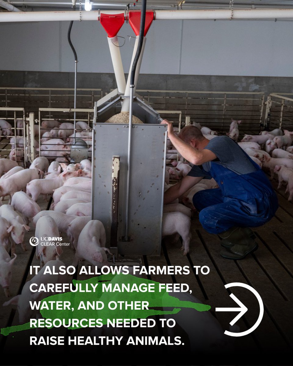 UCDavisCLEAR's tweet photo. As we look toward a more sustainable food system to keep up with a growing population, understanding how different livestock production systems work, and how they use resources around them is an important step in the right direction. 1/ https://t.co/T5PLIkY63h