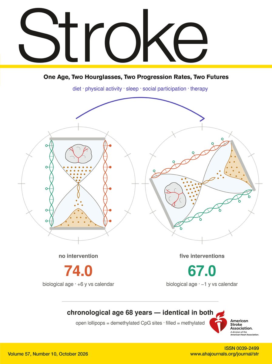 StrokeAHA_ASA's tweet photo. 🧵 #STROKE Highlights for October are here: 

🌟 In mice with intracerebral hemorrhage, oral cilostazol enhanced dural lymphatic drainage, reduced hematoma volume, and improved neurological recovery. @LD_McCullough https://t.co/3dB2D8ea5Q