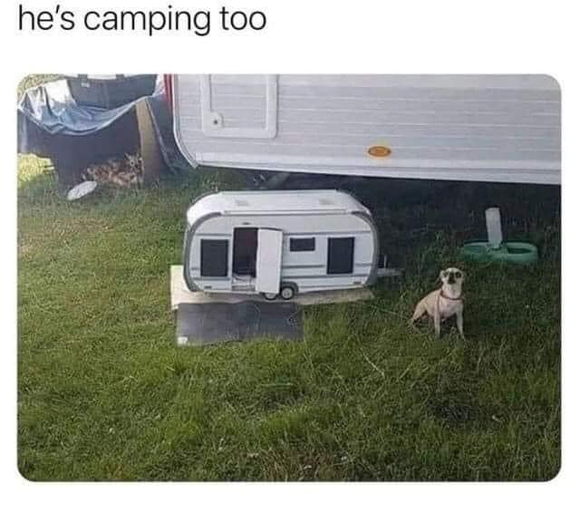 WholesomeMeme's tweet photo. https://t.co/TyD5g3IaZd