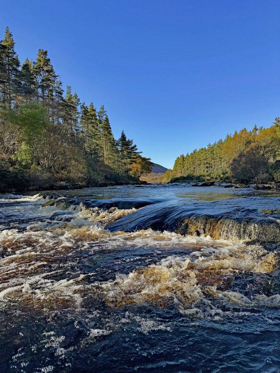 FoxesAfloat's tweet photo. Some people dream of escaping to the Highlands. Others are lucky enough to call it home. Still can’t quite believe I’m one of them. 😍🍂 https://t.co/S6iKq6GODo