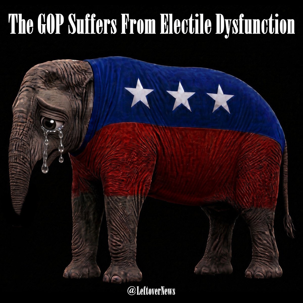 LeftoverNews's tweet photo. @RNCVoteProtect @Addison_McD @WhatleyNC The GOP suffers from #ElectileDysfunction https://t.co/7aYH838WRw