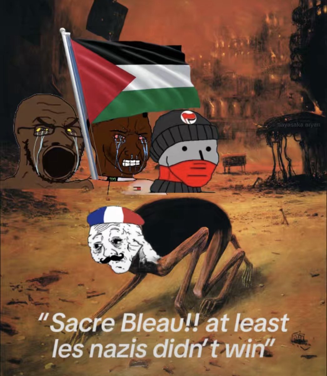 FrankAGN_'s tweet photo. @lechurchx @michaeljknowles You’re a traitor to your own country and a faggot. You don’t have the guts to do what must be done. Complaining about niggers rioting but crying like a bitch because of nazis:

 “NAZZIS BAAAD AND MEAN😭😭 WHERES THE DEMOCRACY?? NAZIS = WOKE”

This you lil bro https://t.co/xV0TchsNDy