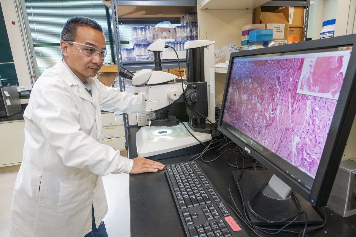 BerkeleyLab's tweet photo. Could a routine blood test reveal radiation exposure? Berkeley Lab scientists developed a machine learning tool that uses data from complete blood count (CBC) results, potentially offering an accessible way to screen workers at risk without the hurdles of existing methods. @LBNLatap  https://t.co/ExPxeGLIP7