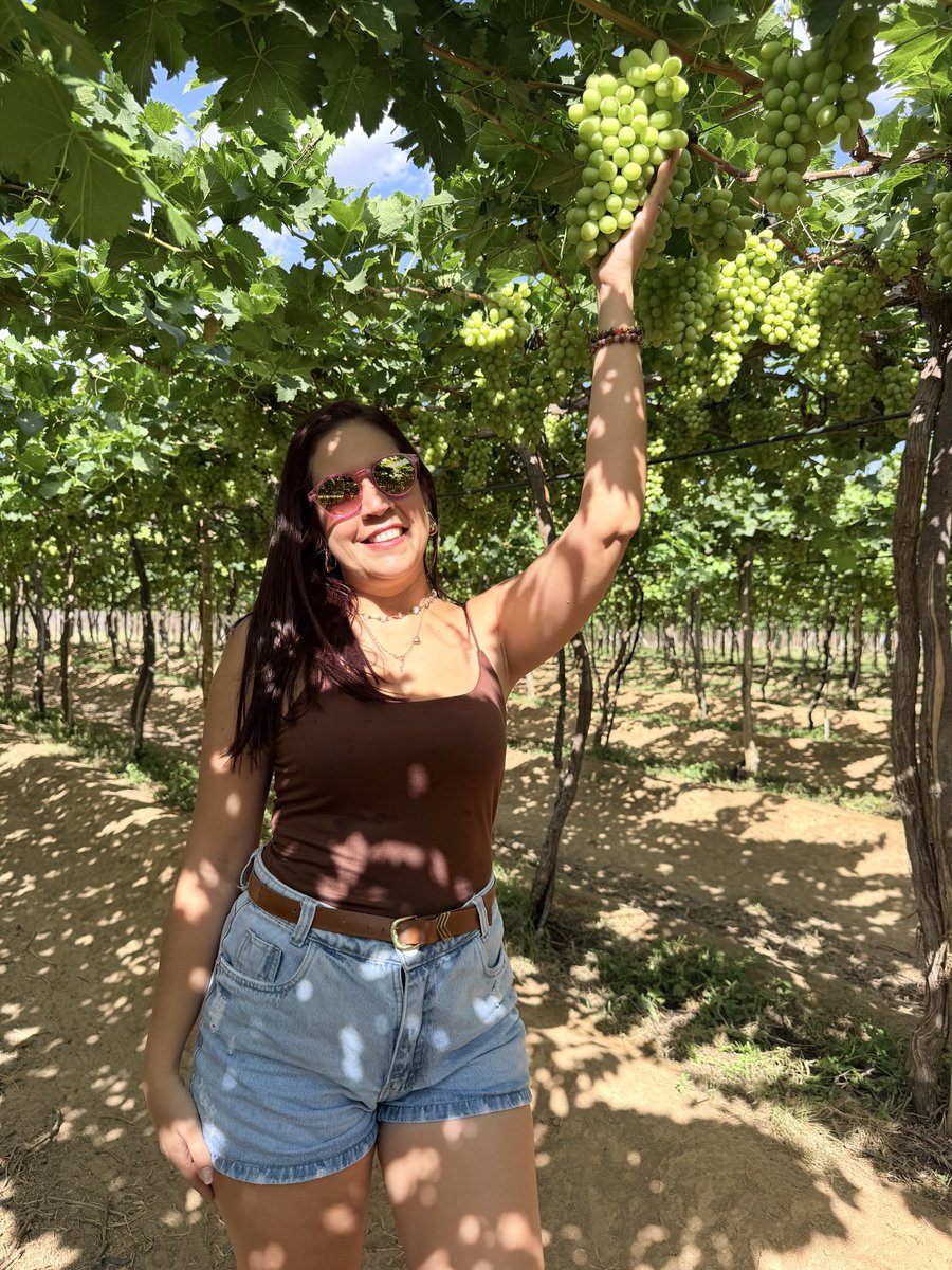 holylila's tweet photo. Uvas do meu Sertão!!! #PetrolinaCapitaldoSertão https://t.co/idYgNzeSZH
