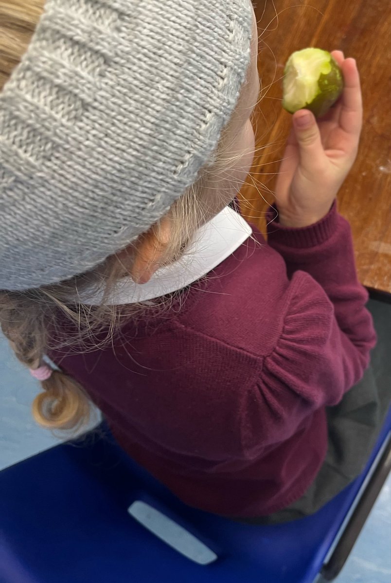 ReceptionBh's tweet photo. We just love snack time in Reception. We wash our hands, get our fruit then sit beautifully at our tables taking our time to chew our food properly and learning to eat carefully. @busheyheathjm #busheyheathPSED https://t.co/5ysSOo7dHL